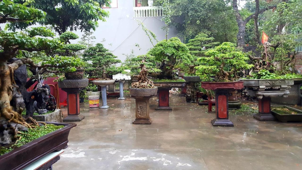 Quang Quang Garden Bonsai Homestay Ninh Binh Luaran gambar